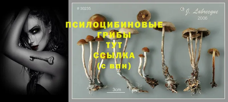 Галлюциногенные грибы Magic Shrooms  Шарыпово 